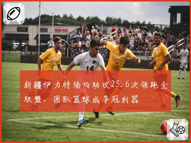 新疆伊力特场均助攻25.6次领跑全联盟，团队篮球成争冠利器
