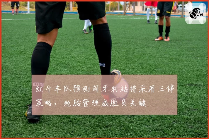 红牛车队预测匈牙利站将采用三停策略，轮胎管理成胜负关键
