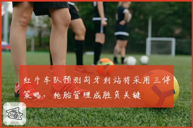 红牛车队预测匈牙利站将采用三停策略，轮胎管理成胜负关键